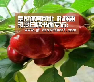 皇冠体育投注