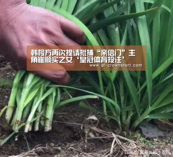 皇冠体育官方网站