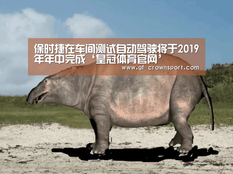 皇冠体育投注