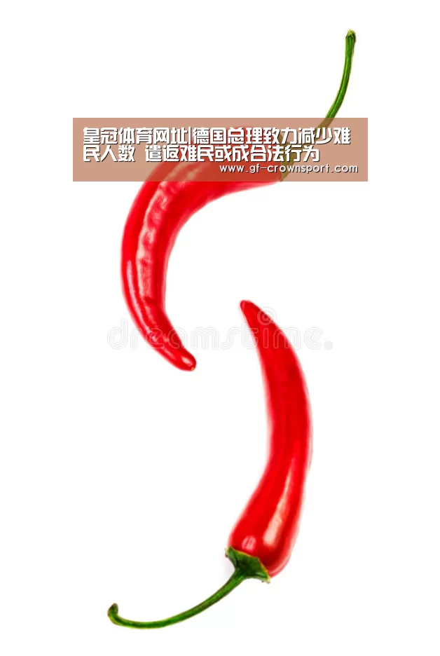 皇冠体育网址|德国总理致力减少难民人数 遣返难民或成合法行为(图1) 皇冠体育投注