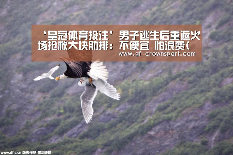 皇冠体育官方网站